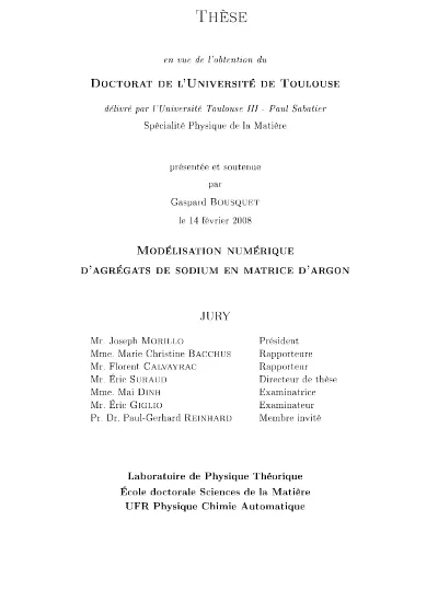 Modelisation Numerique D Agregats De Sodium En Matrice D Argon