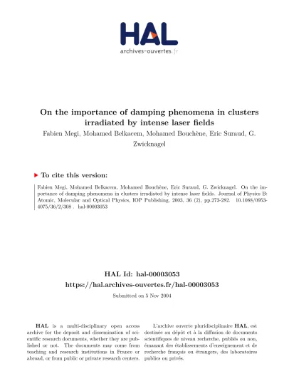 On The Importance Of Damping Phenomena In Clusters Irradiated By Intense Laser Fields