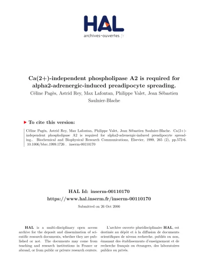 Ca 2 Independent Phospholipase Is Required For Alpha2 Adrenergic Induced Preadipocyte Spreading