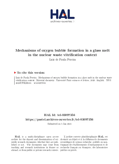 Mechanisms Of Oxygen Bubble Formation In A Glass Melt In The Nuclear Waste Vitrification Context