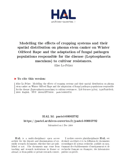 Contribution To The Numeral Simulation Of Propagation Liquefied Soil Masses And Their Effects On Structures