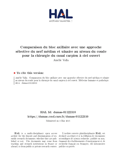 Comparaison Du Bloc Axillaire Avec Une Approche Sélective Du Nerf Médian Et Ulnaire Au Niveau Du 