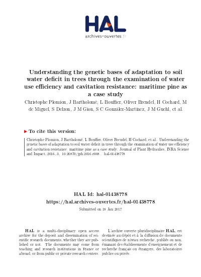 Vegetation Dynamics And Soil Water Balance In A Water Limited Mediterranean Ecosystem On Sardinia Italy