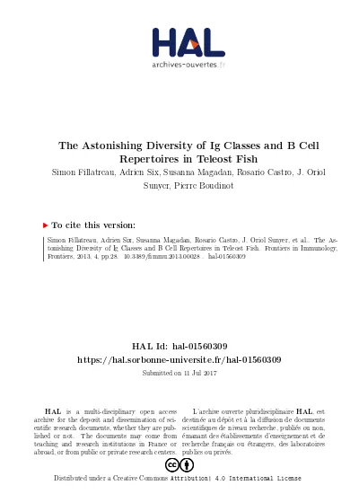 Origin Of Public Mmemory B Cell Clones In Fish After Antiviral Vaccination